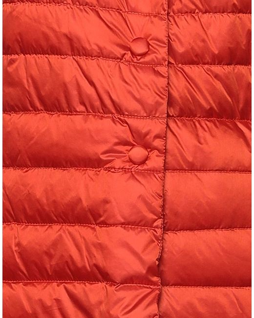 Add Red Puffer