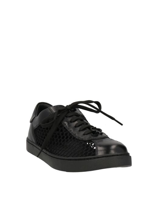 Gianvito Rossi Black Trainers