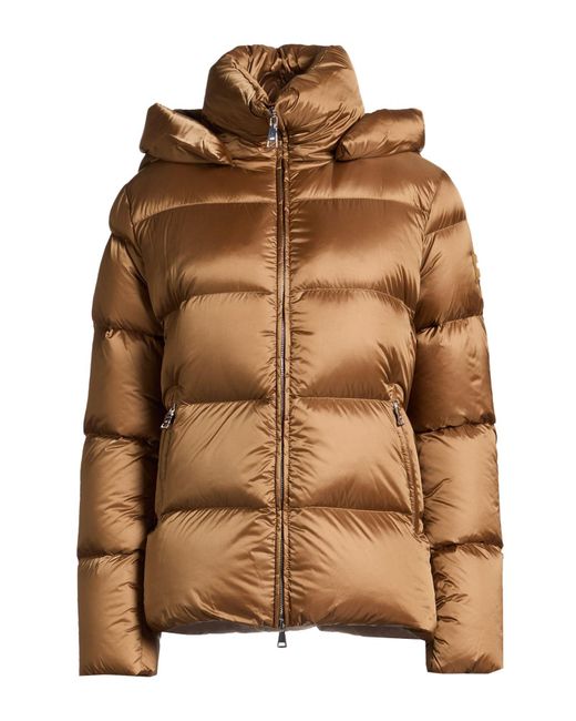 Add Brown Puffer