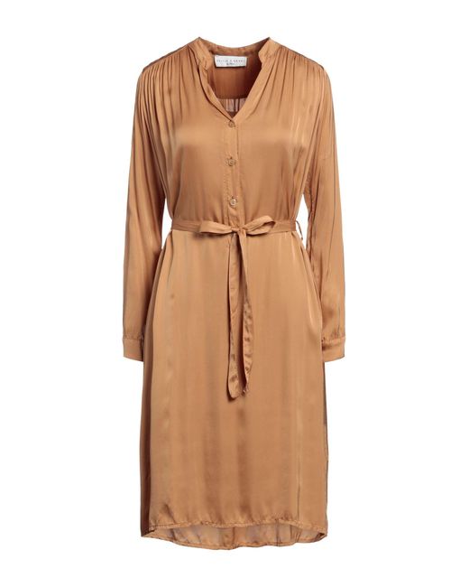 SKILLS & GENES Brown Midi Dress
