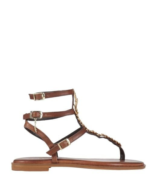 Caryatis Brown Thong Sandal Leather