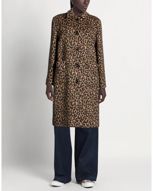 Tagliatore Brown Coat Virgin Wool, Mohair Wool, Polyamide