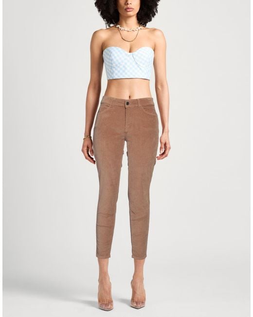 Caractere Brown Pants Cotton, Modal, Elastane