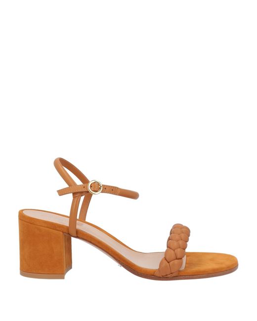 Gianvito Rossi Brown Sandals