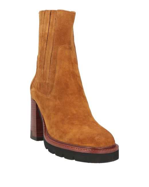 Bruno Premi Brown Ankle Boots