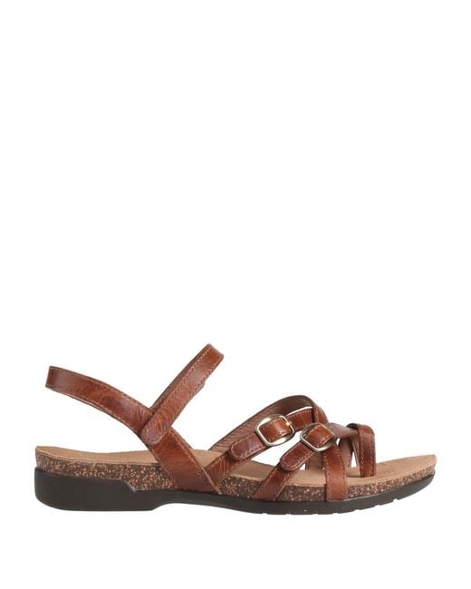 Dansko Brown Thong Sandal Leather