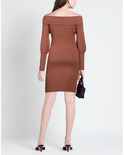 hinnominate Brown Mini Dress
