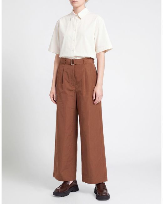 Hache Brown Pants Cotton, Polyester