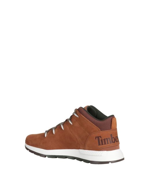 Timberland Sneakers in Brown für Herren