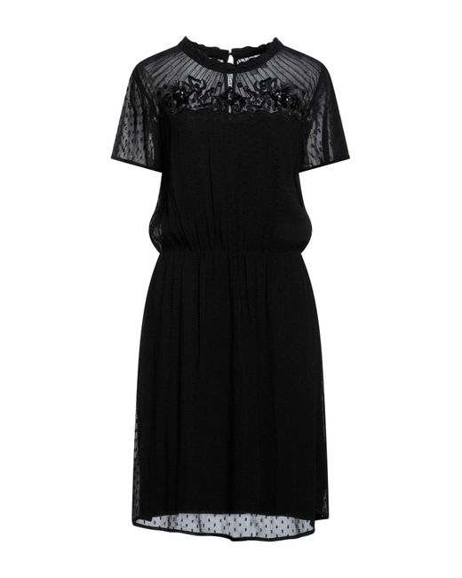Velvet By Graham & Spencer Black Midi Dress