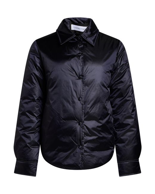 Caractere Blue Puffer