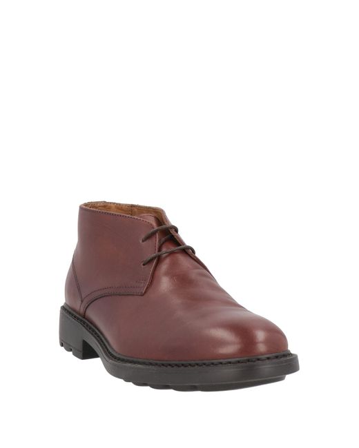 Pollini Brown Ankle Boots for men