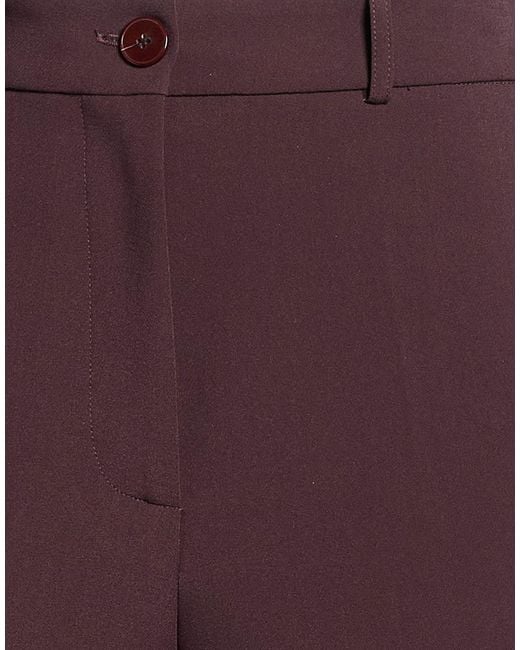 Alysi Purple Trouser