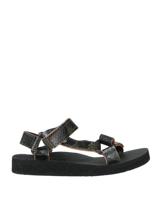 ARIZONA LOVE Black Sandals