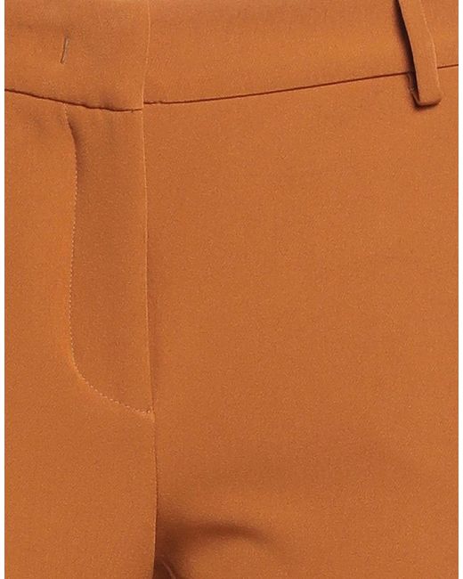 Hanita Brown Pants Polyester, Elastane