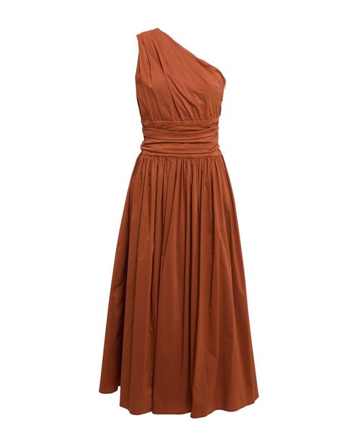 Liviana Conti Brown Midi Dress
