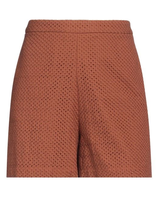 FEDERICA TOSI Brown Shorts & Bermuda Shorts