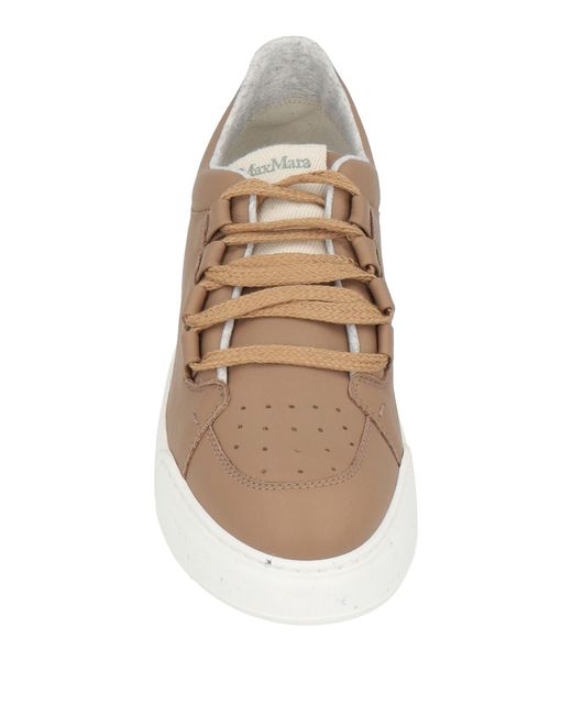 Max Mara Brown Trainers