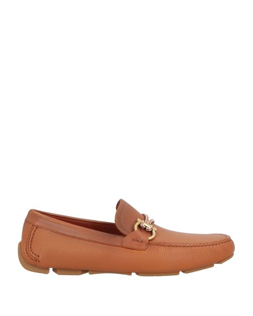 Ferragamo Brown Loafers Calfskin for men