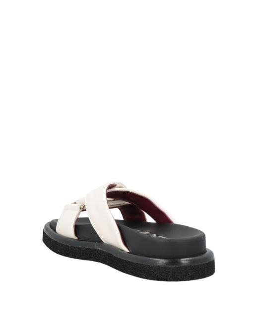 Seboy's Black Sandale