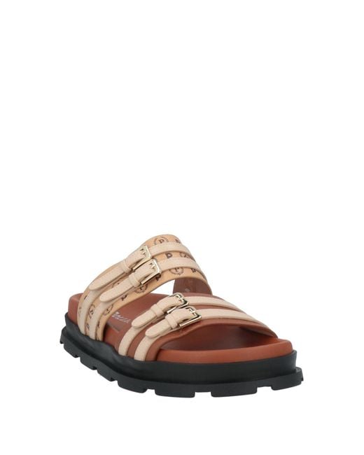 Pollini White Sandale
