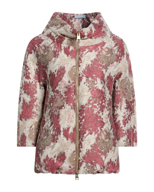 Herno Pink Puffer Polyacrylic, Wool, Polyester