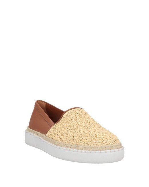 Hogan Brown Sneakers