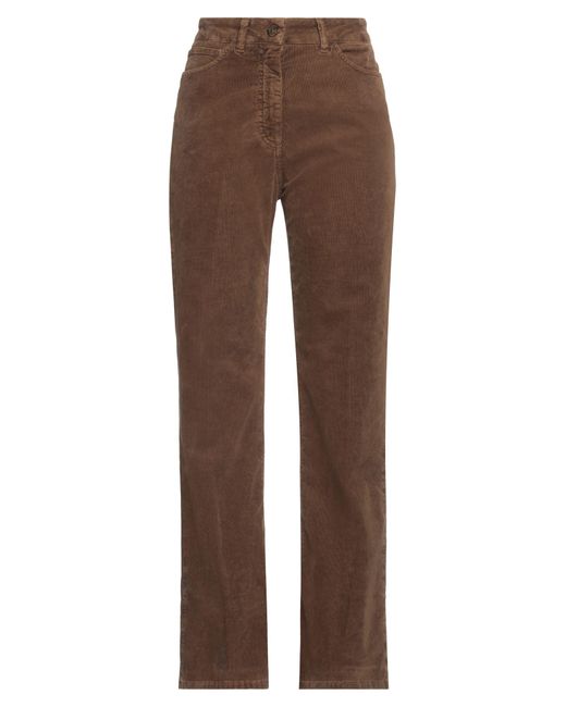 Seafarer Brown Trouser