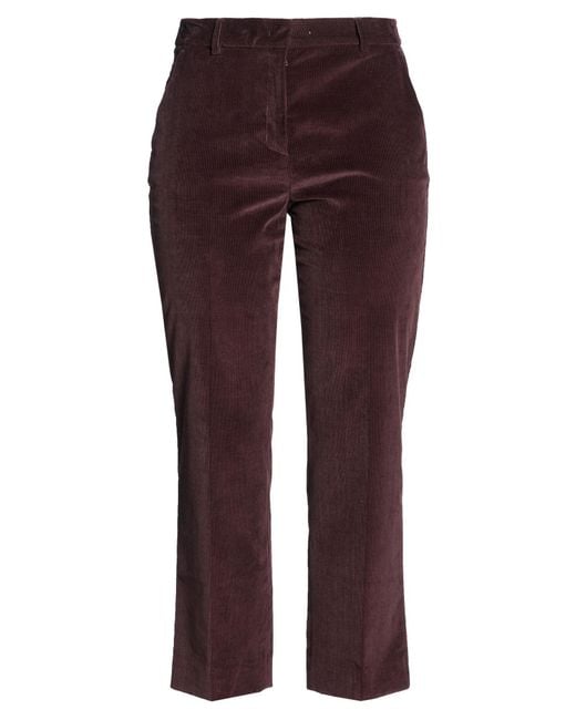 Weekend by Maxmara Purple Pants Cotton, Elastane