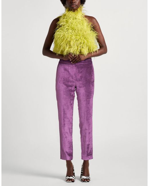 Kaos Purple Trouser