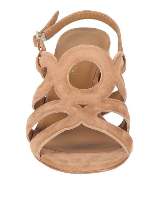 Baldinini Brown Sandals