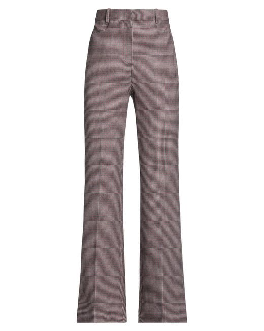 Circolo 1901 Gray Pants