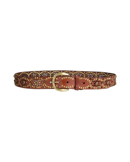 Campomaggi Brown Gürtel