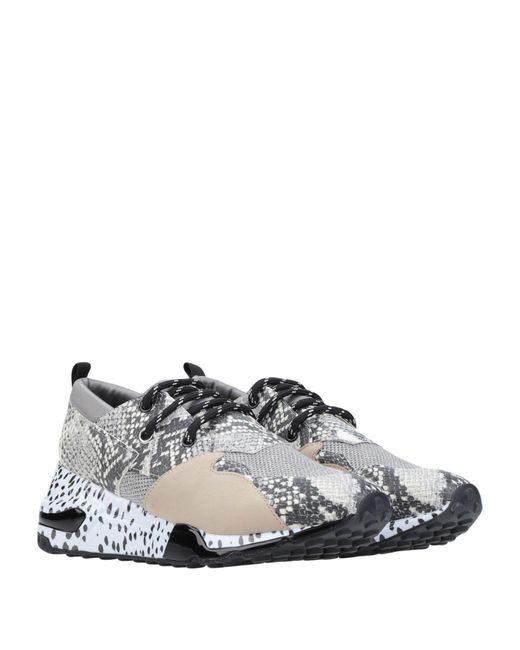 steve madden sneakers snakeskin