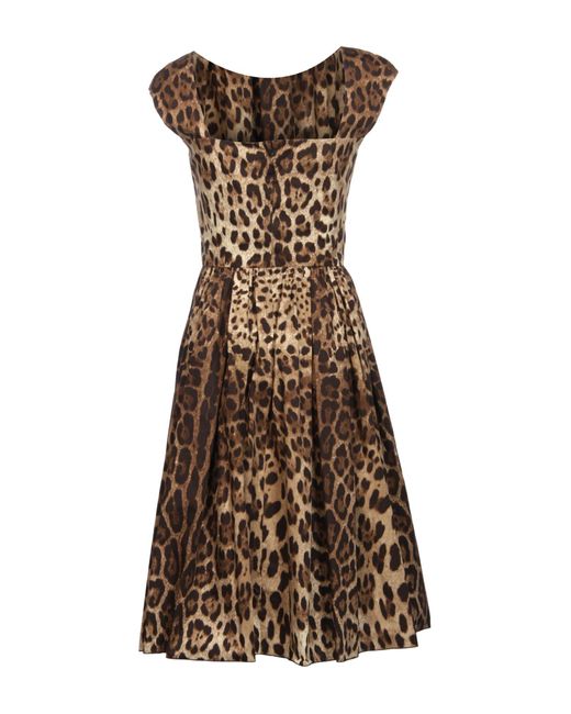 Dolce & Gabbana Brown Midi-Kleid