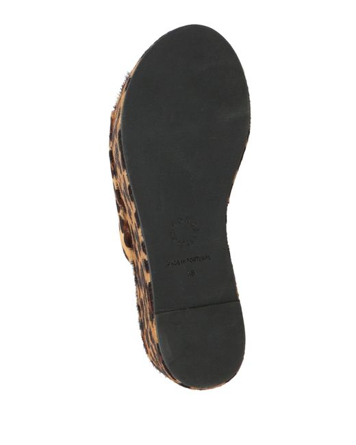 Simon Miller Brown Sandals