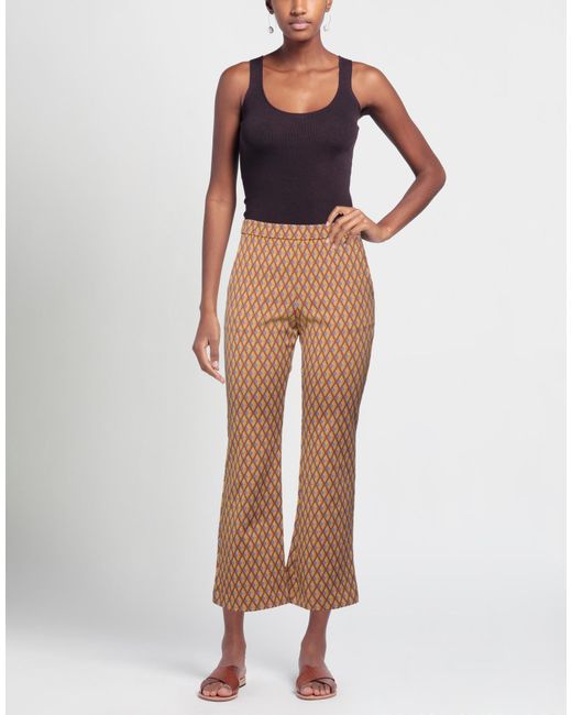 Maliparmi Brown Trouser