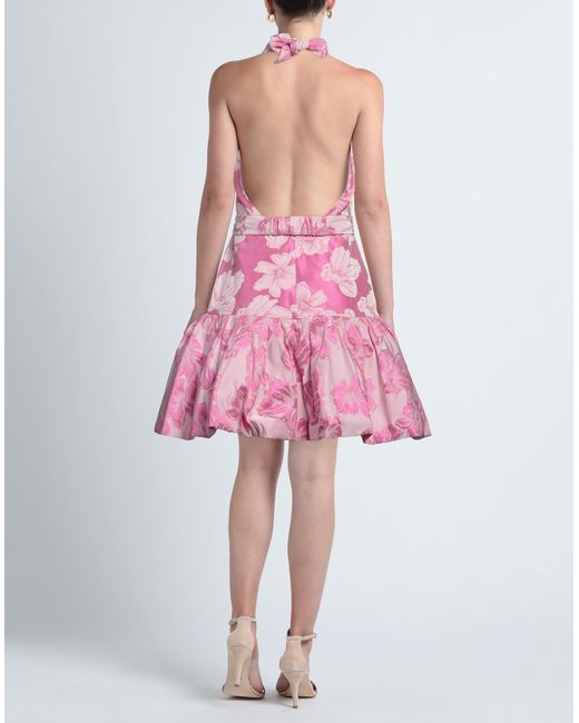 Silvia Tcherassi Pink Mini Dress