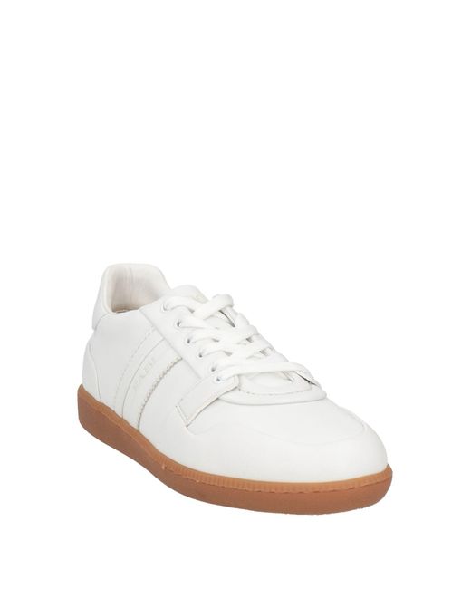 Fabi White Sneakers for men
