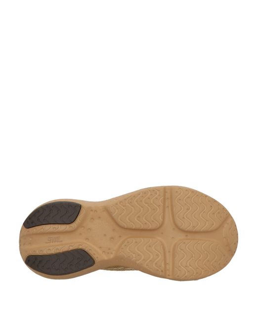 Steve Madden Brown Trainers