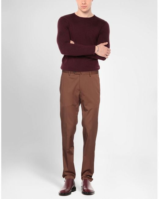 PT Torino Brown Trouser for men