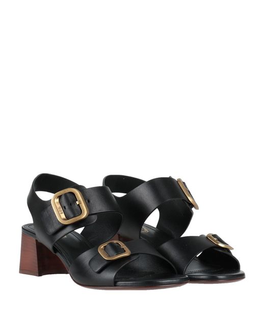 Tod's Black Sandals
