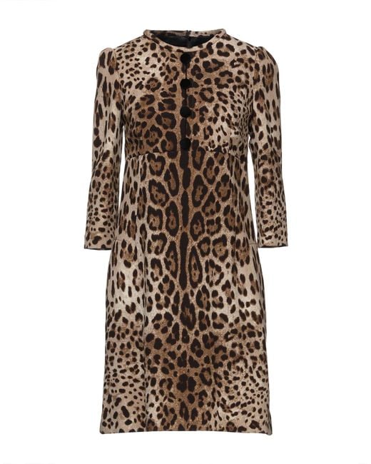 Dolce & Gabbana Brown Sand Mini Dress Wool
