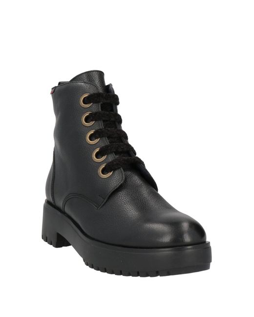 Callaghan Black Ankle Boots