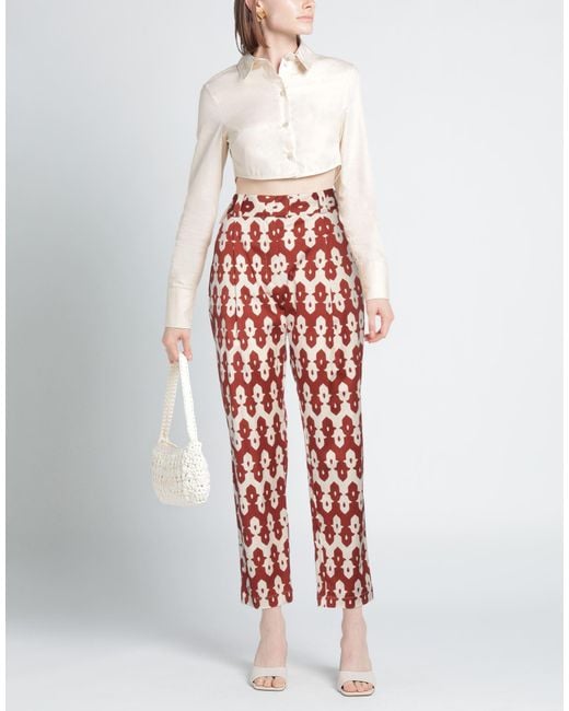 Niu Red Pants Cotton, Elastane
