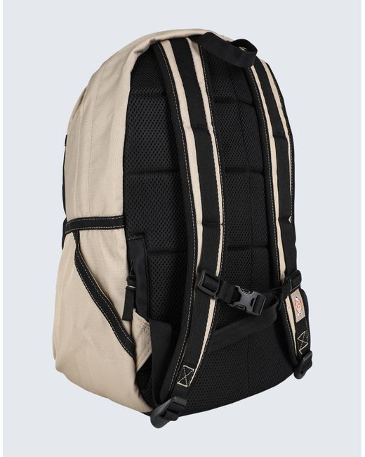 Dickies Black Backpack