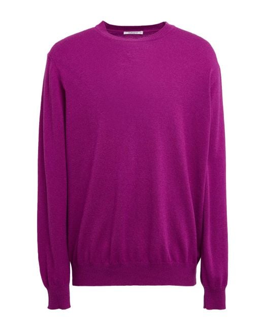 Kangra Purple Sweater Wool, Cashmere for men