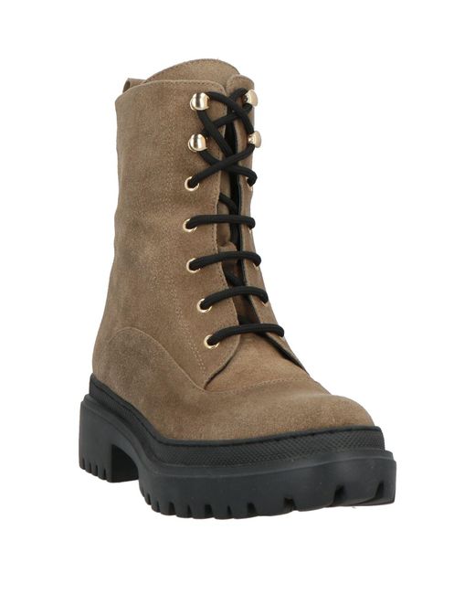 Bottines Pollini en coloris Brown