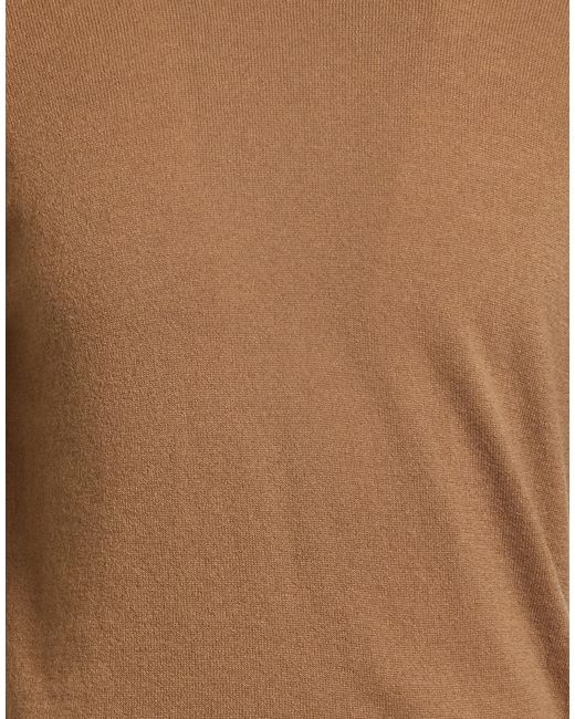 Alpha Studio Brown Turtlenecks for men