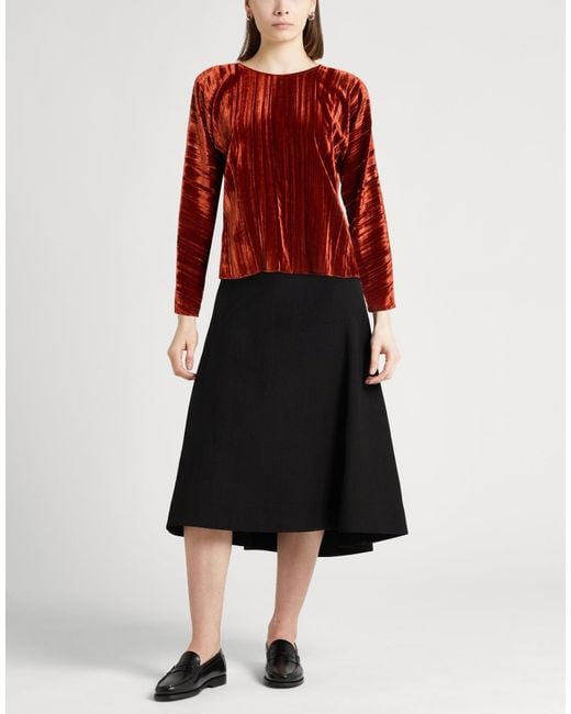 Forte_forte Red Top